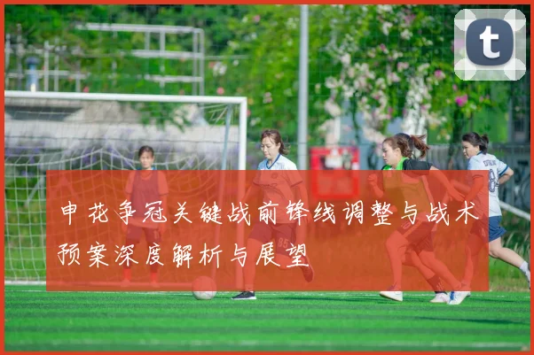 申花争冠关键战前锋线调整与战术预案深度解析与展望